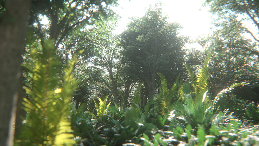 フォトリアル 建築パース 森を制作 CG 01